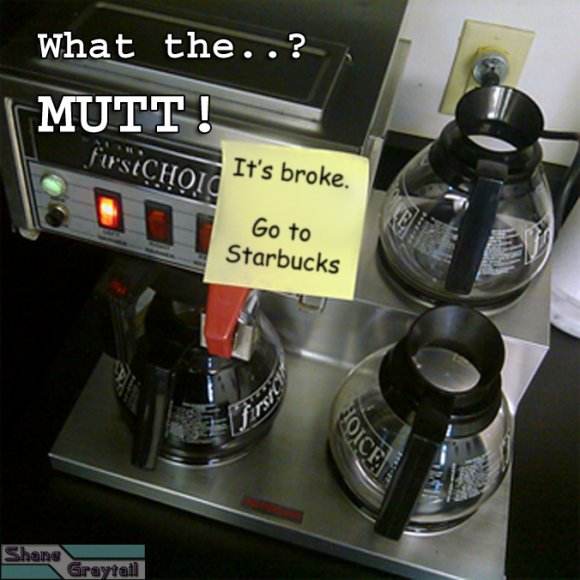 Shane_Graytail-NoCoffee