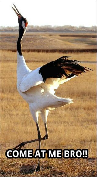 ron_overdrive-tmp_199-841890845