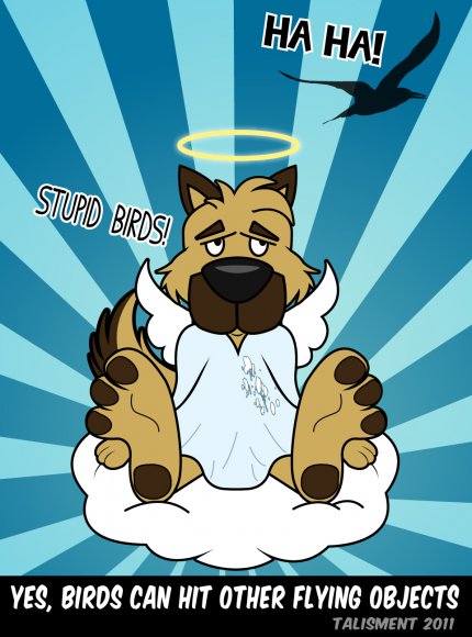 talisment-blitz_vs_bird_talisment