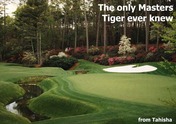 Tahisha-Masters_of_Tiger