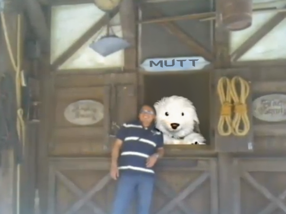 CrazyHusky-donkeyMuttv2