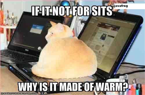 javafrog-funny-pictures-cat-sits-on-your-keyboard