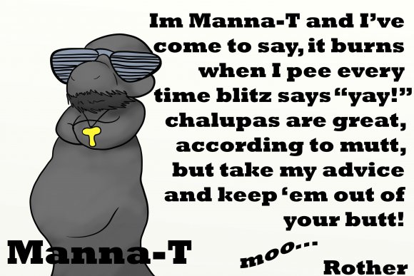 Rother-Hhgh_manna-T