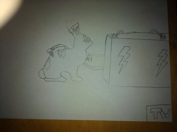 Tolopea_Wolf-2011-04-24_13.35.35