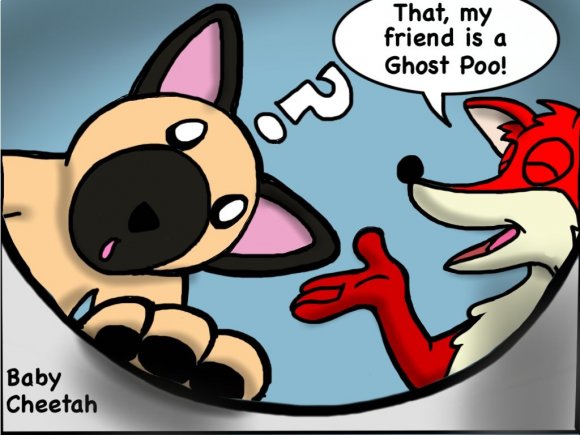 Baby_Cheetah-blitzpotty