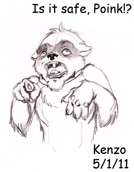 Kenzo-is_it_safe_poink