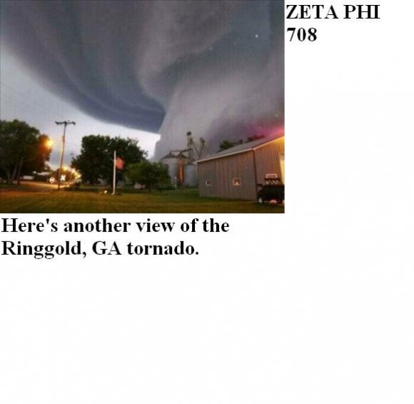 Zeta_Phi_708-PAWPET_2