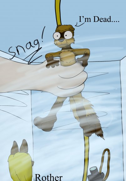 Rother-LP-poinkshower2