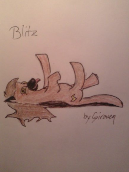Giroven-Blitz_Pony