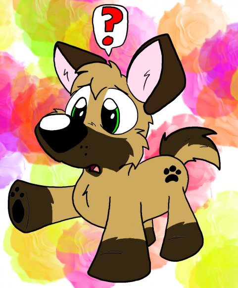 dingoroo-MyLittleBlitz