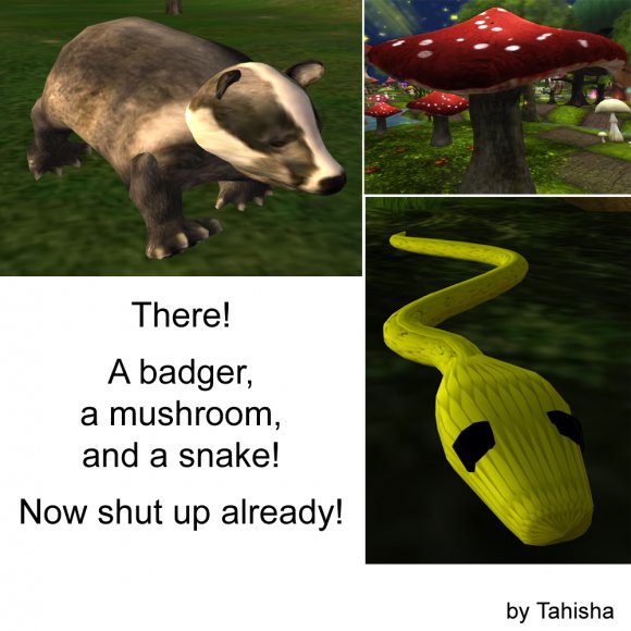 Tahisha-Badger,_Badger,_Badger,_Badger