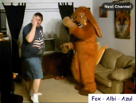 Fox-Albi-Azul-BlitzTaxiJune5th