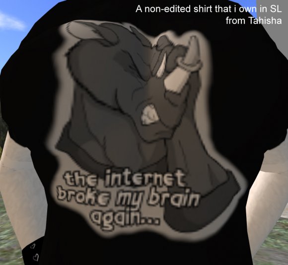 Tahisha-a_shirt_owned_by_Tahisha