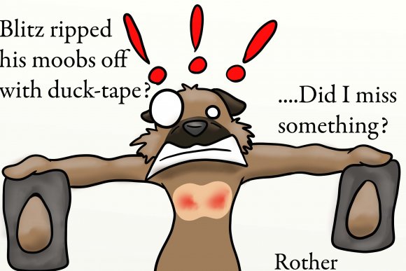 rother-blitz_ouch_copy