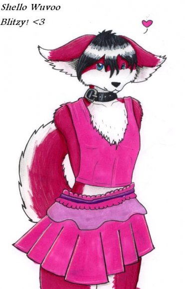 Shello-Shello_Wuvoo_Blitzy