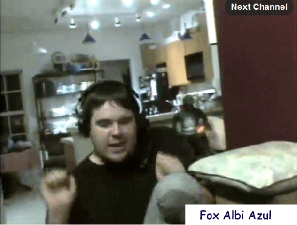 Fox_Albi_Azul-blitzjune