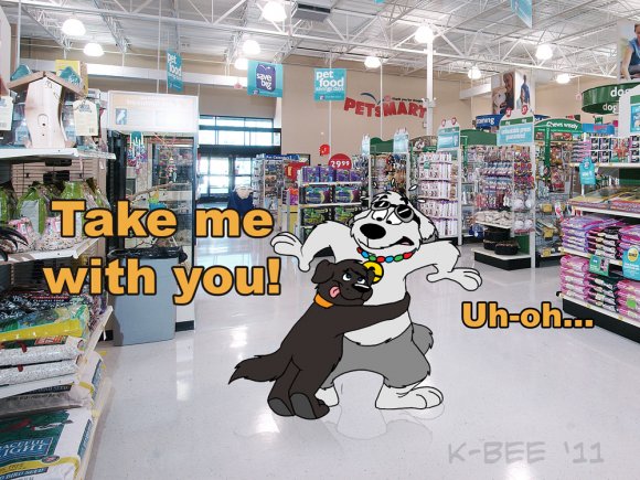 Kresblain-ezra-in-petsmart