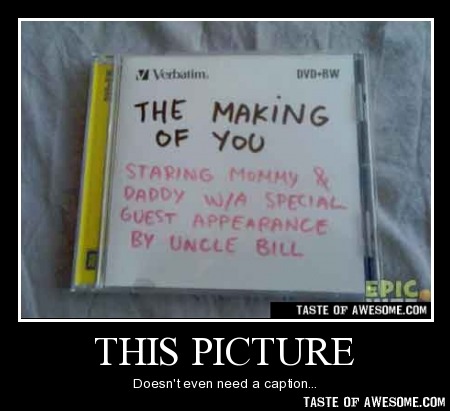 Kael_Corgi-No_Caption