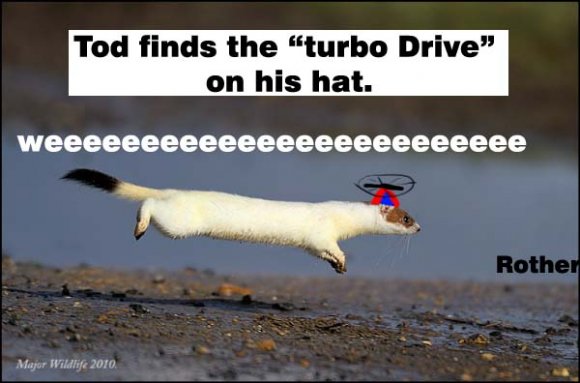 rother-todd_hurry_copy