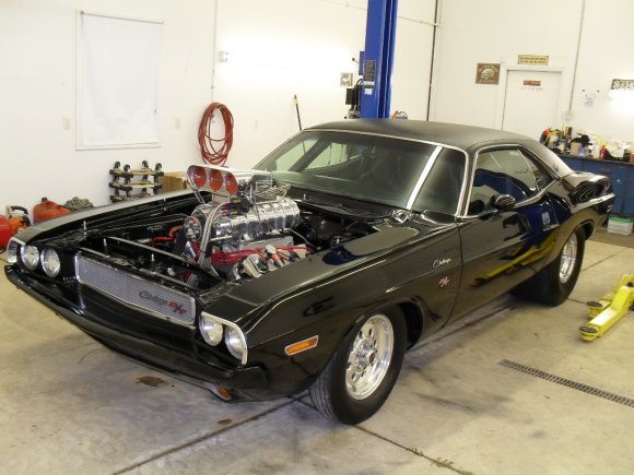 javafrog-5131960017_large