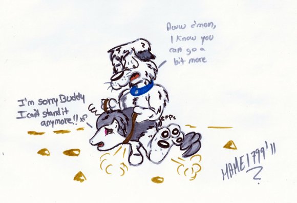 Mamei799-mutt-y-mutt