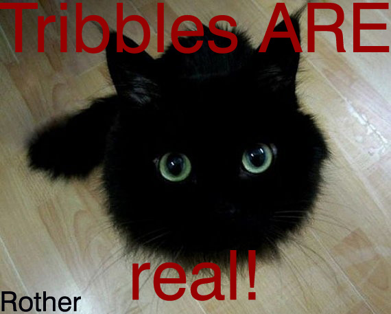 rother-tribble_real
