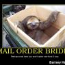 Barney_Husky-Mail_order_brides