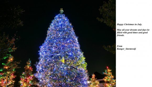 Ranger_Stormwolf-christmas-tree-beautiful-blue