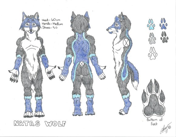 Lawrence_Correia-NatasWolfRefSheet