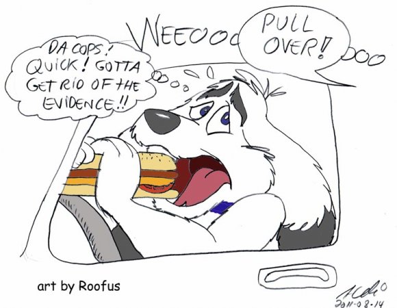 2011-08-14_Mutt Busted1