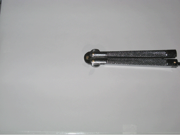 Butterfly-Tease-by-Daichi_Ookami