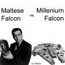 Falcon vs Falcon