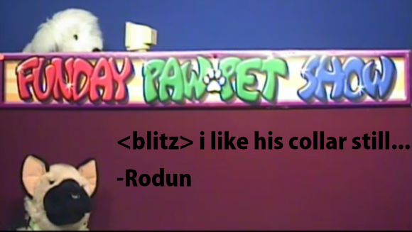 Blits like his collar