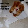 dogbountyhunter