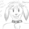 Blackcorvo_CuteMutt