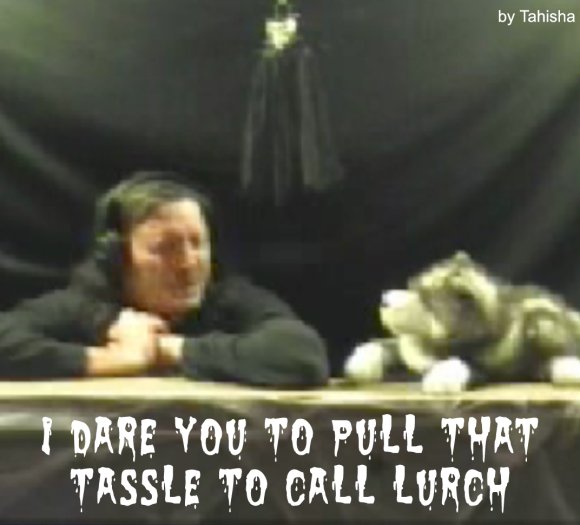 PawpetOH 1 - I dare you