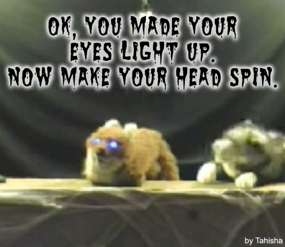 PawpetOH 2 - A supernatural challenge