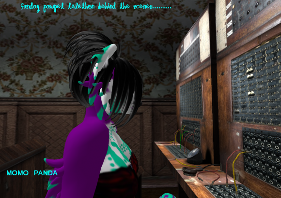 fundaypawpet telethon (2)