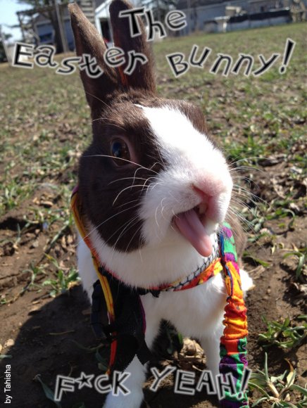Easter Bunny - F Yeah