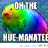 Hue-manatee