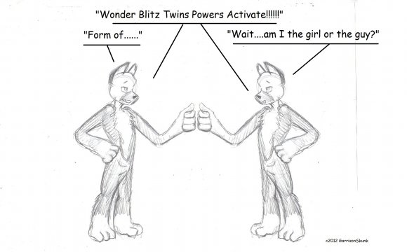 Wonder Blitz Twins2