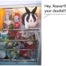 wabbit%20in%20fridge
