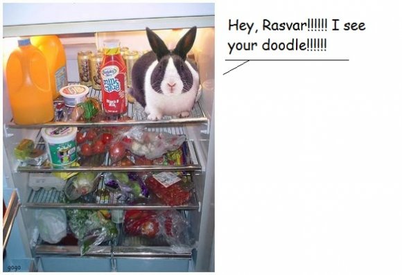 wabbit%20in%20fridge