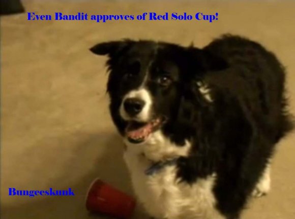 Bandit pose - Red Solo Cup