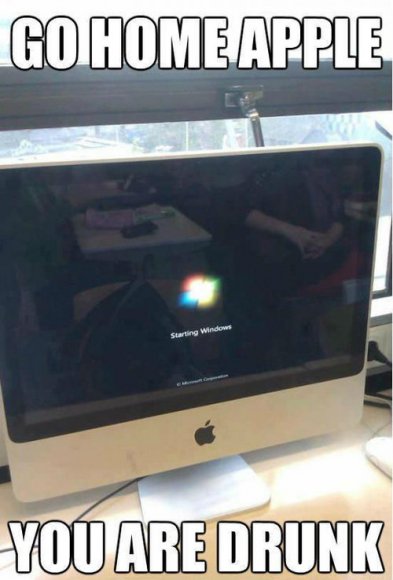 tumblr_md8on0QLvU1rves7ho1_500