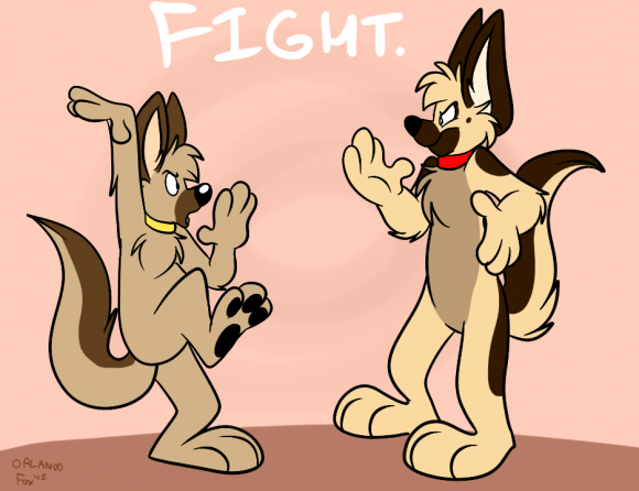 OrlandoFox - FIGHT