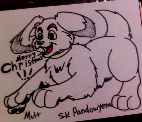 Mutt christmas.jpg