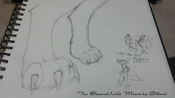 2013-01-20_20-01-20_852