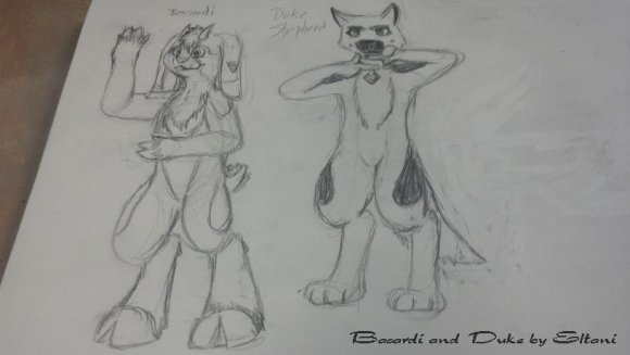 2013-01-20_20-10-56_593