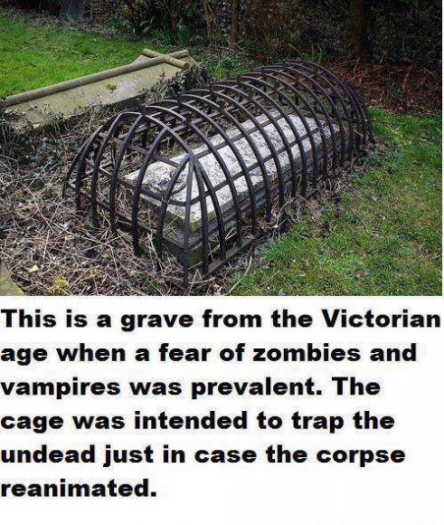 563326_10151482335594879_1896583918_n